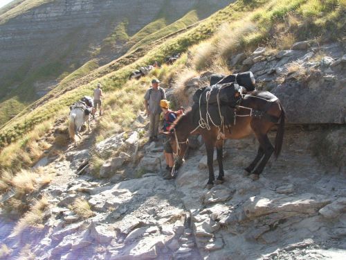 trekking con i muli-71.JPG